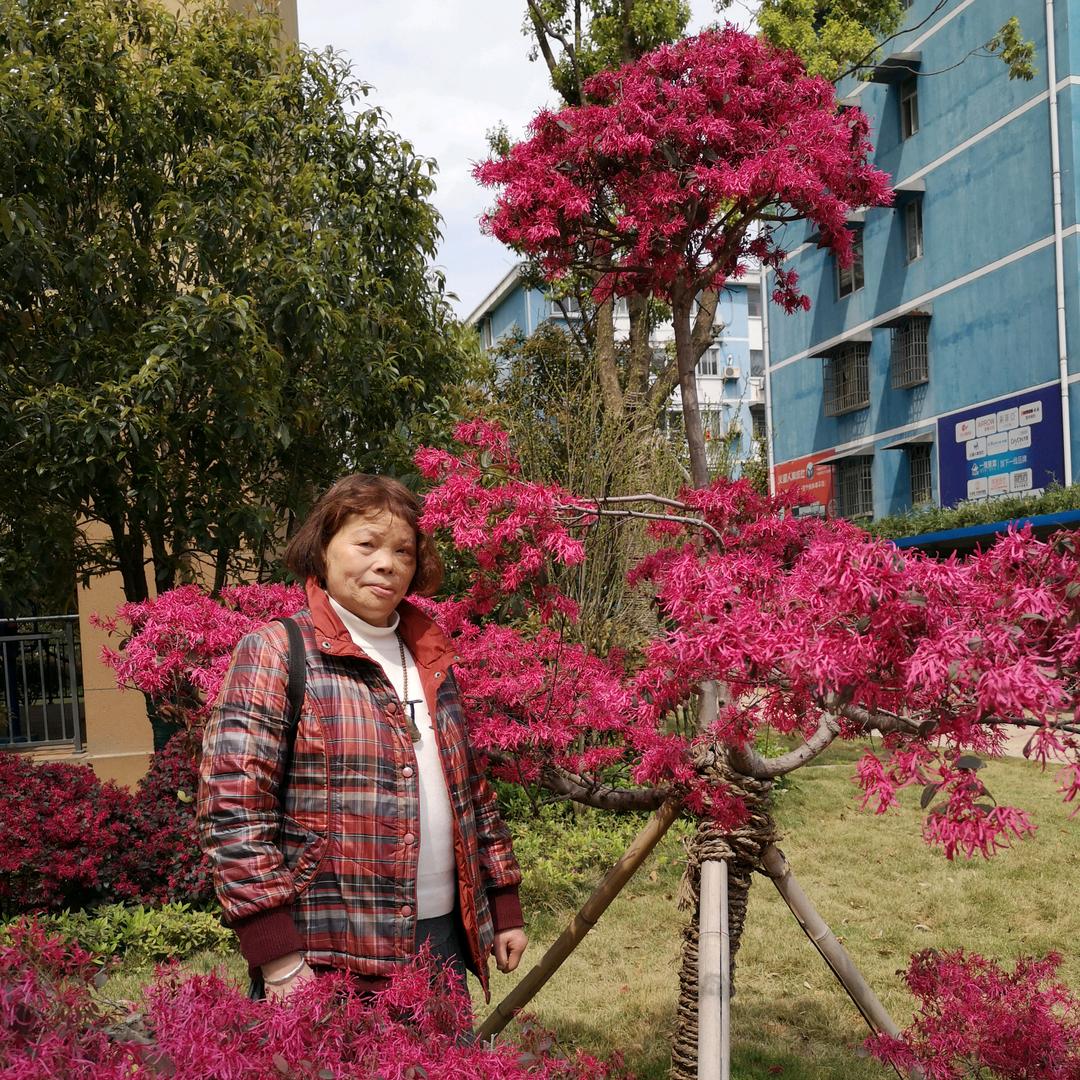 丑八怪老太婆
