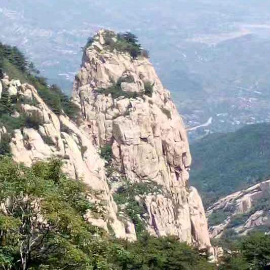 卧龙