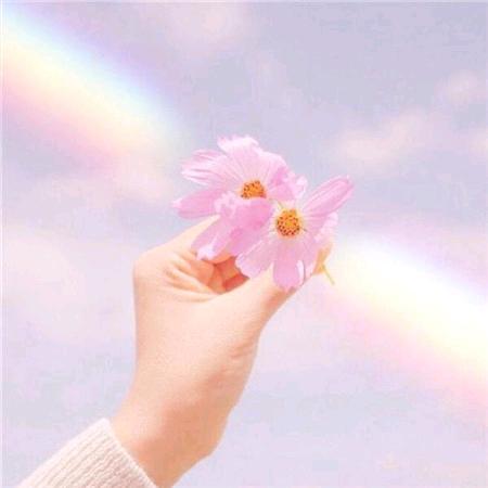 彼岸花开画坊馆