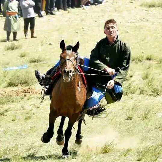 🐎