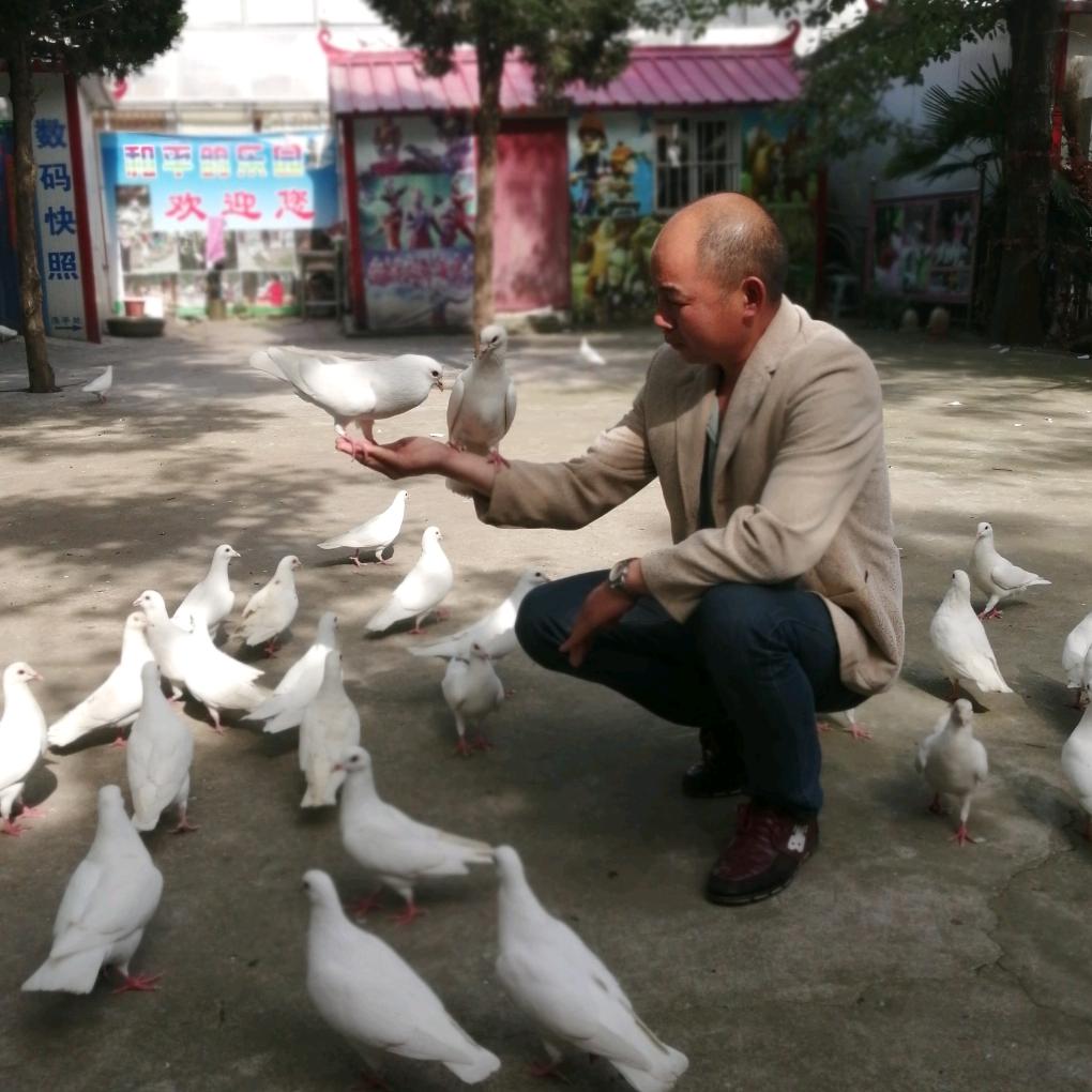 顺其自然？