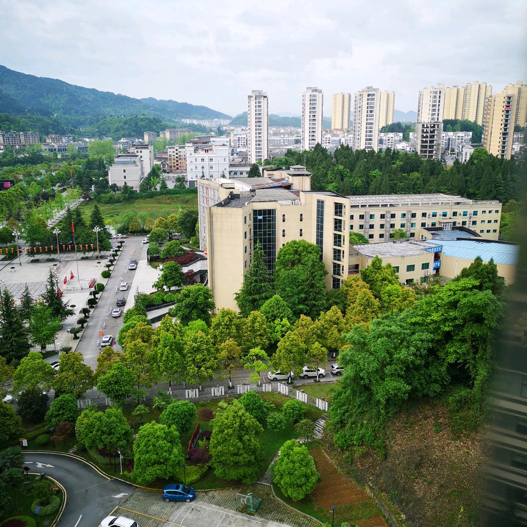 我是老实人