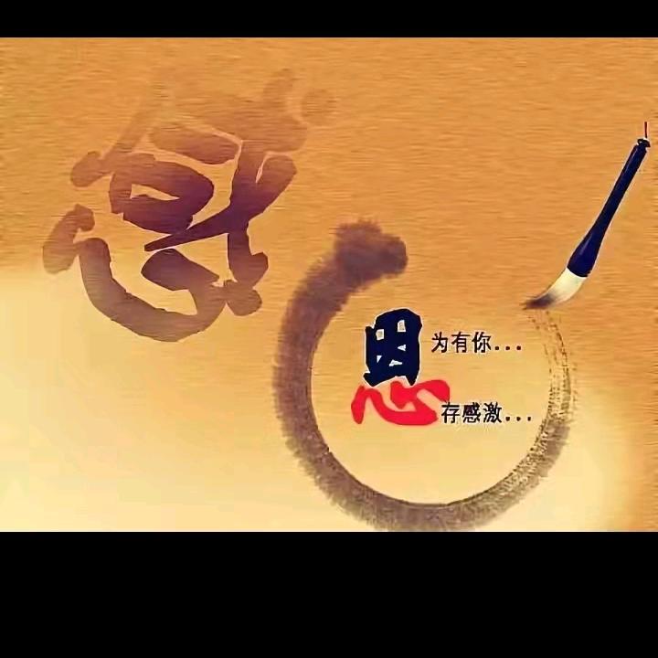 单身老头