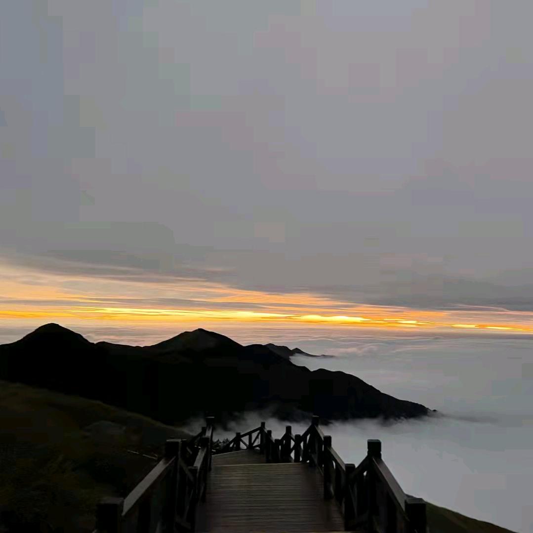 落十一