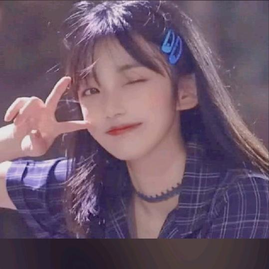 费子文