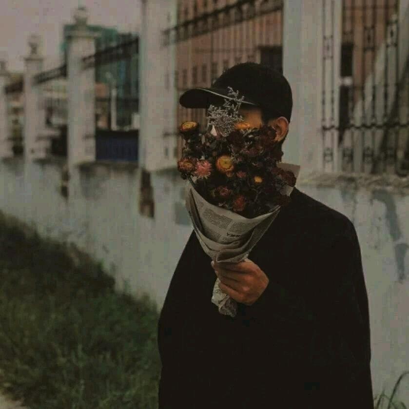 睡觉的狗