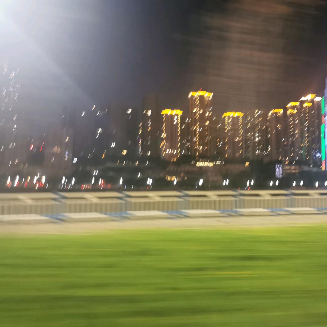 陈马村胡老爷子