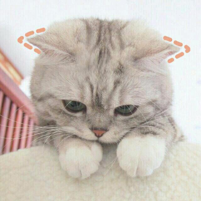 酸酸不酸