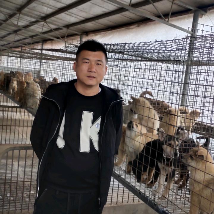 养狗七哥