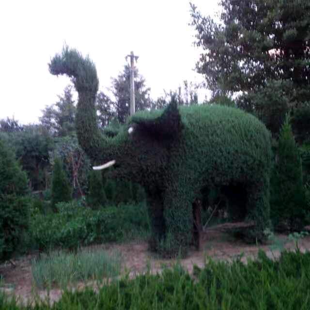 A花木大世界
