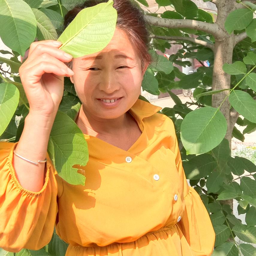 小朵朵