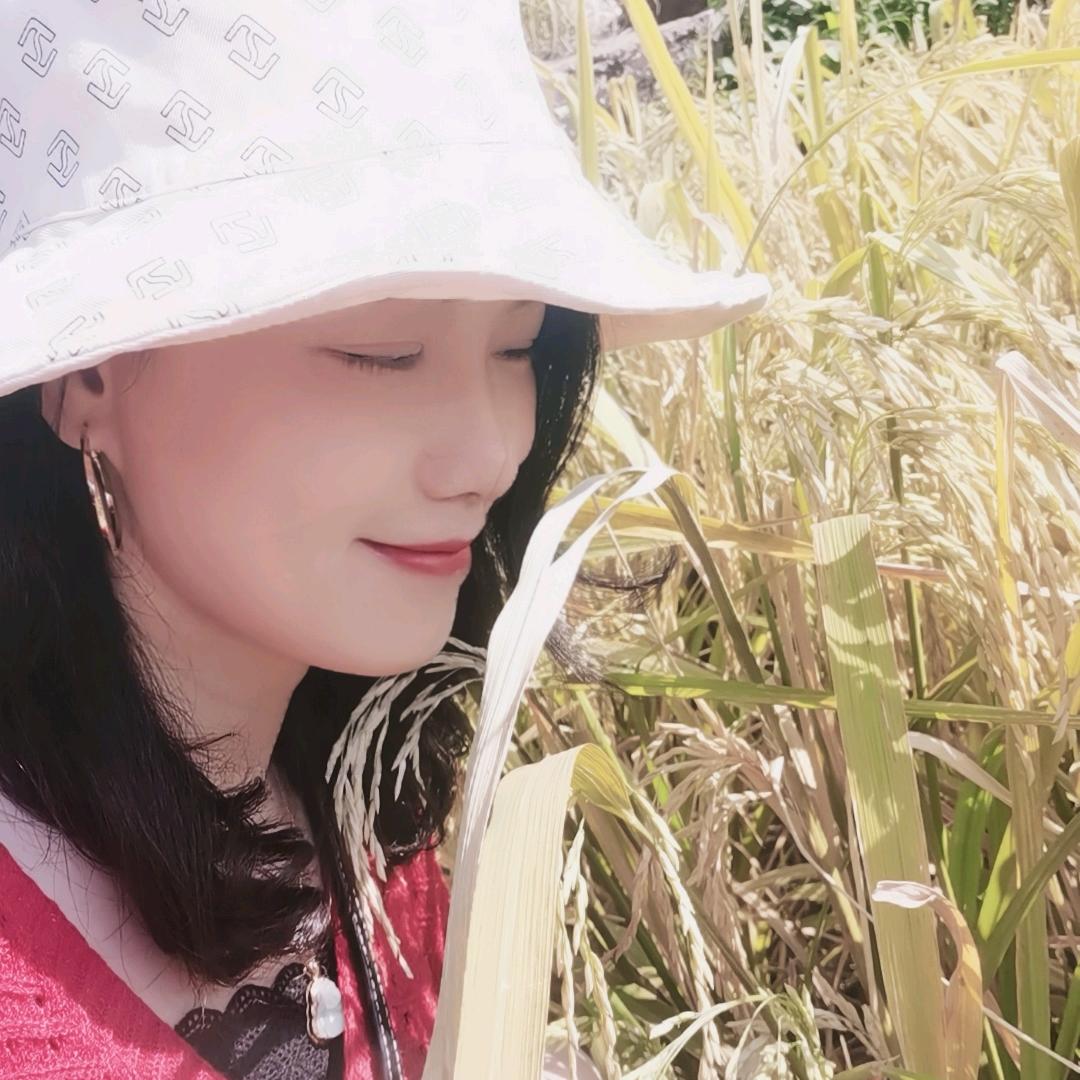香如时装,橱窗里有好货