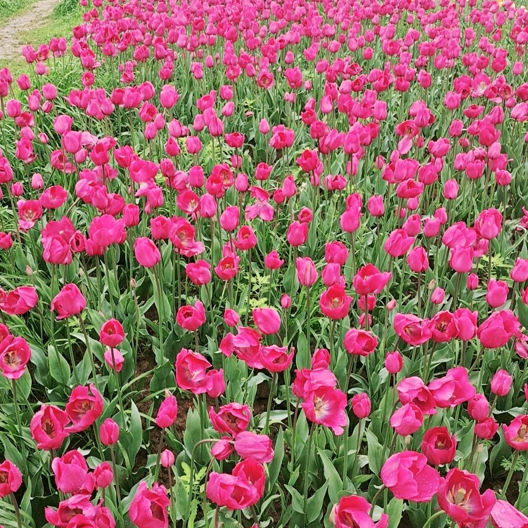 坚强的女人👩👩拒私聊