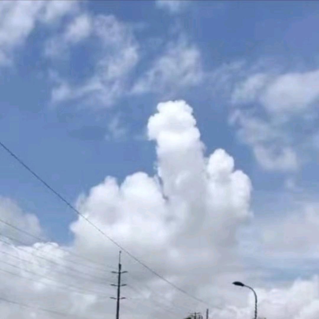 ぃ孤单久了就*惯了