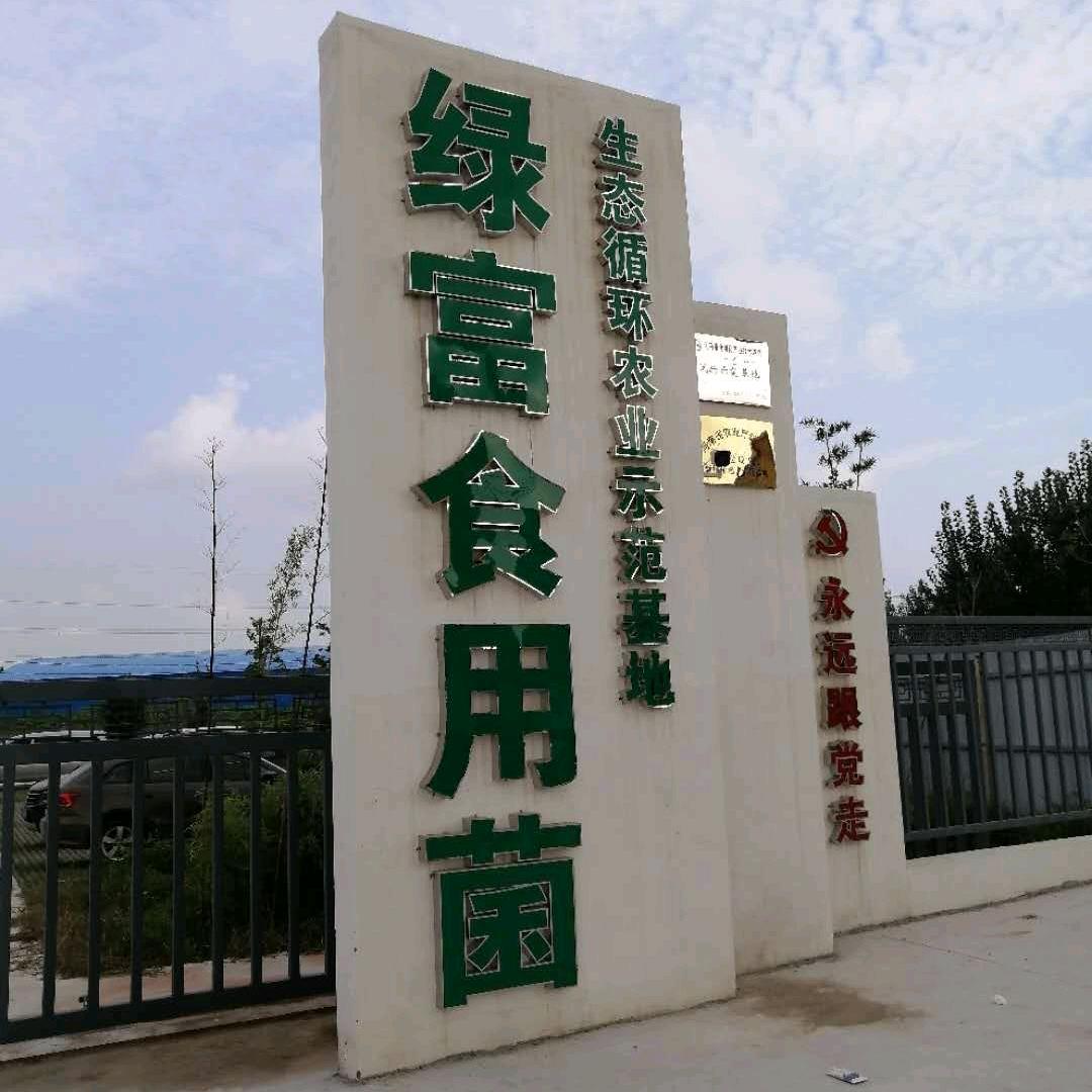 史老师