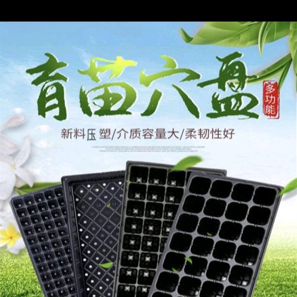 育苗穴盘育苗基质椰糠批发厂家