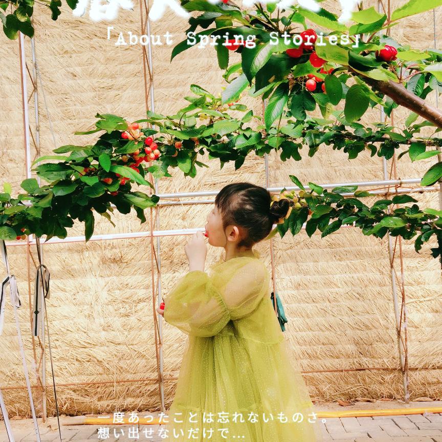 铁岭市银州区樱梓逸园大樱桃采摘农场