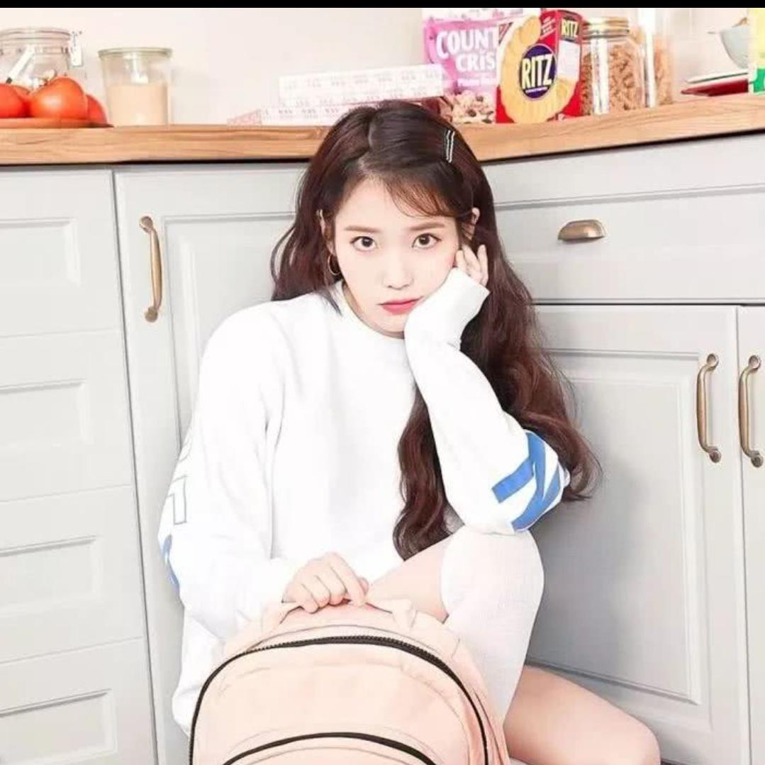 小丑鱼