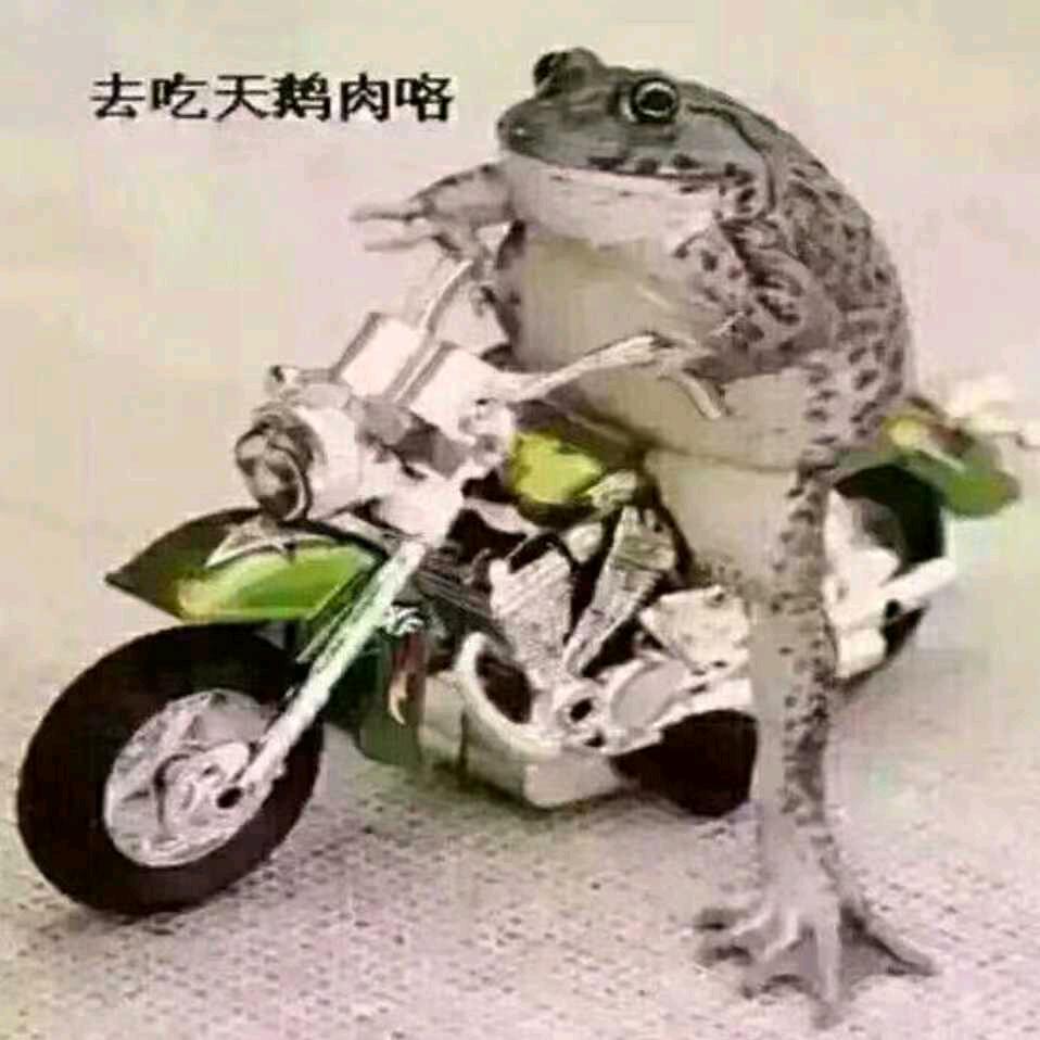七龍珠《收学员》