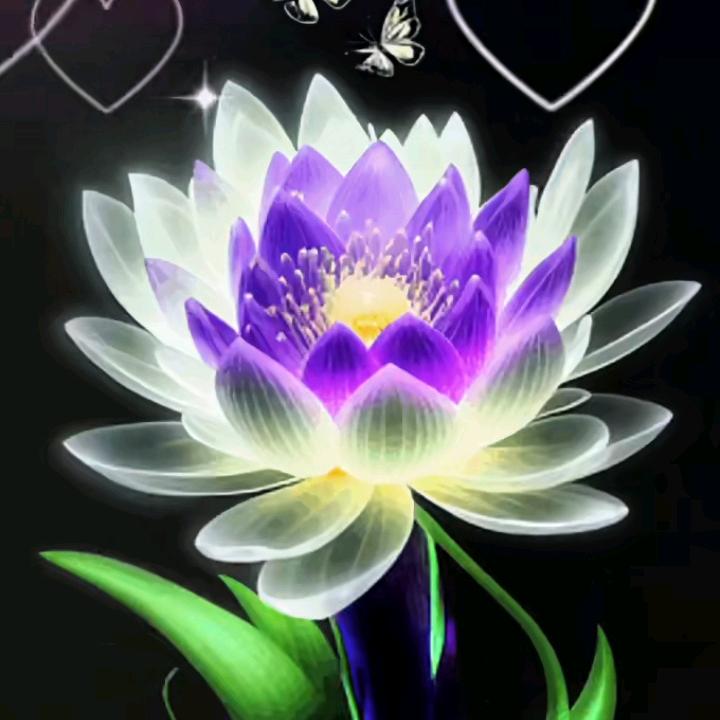 我的心有苦说不出