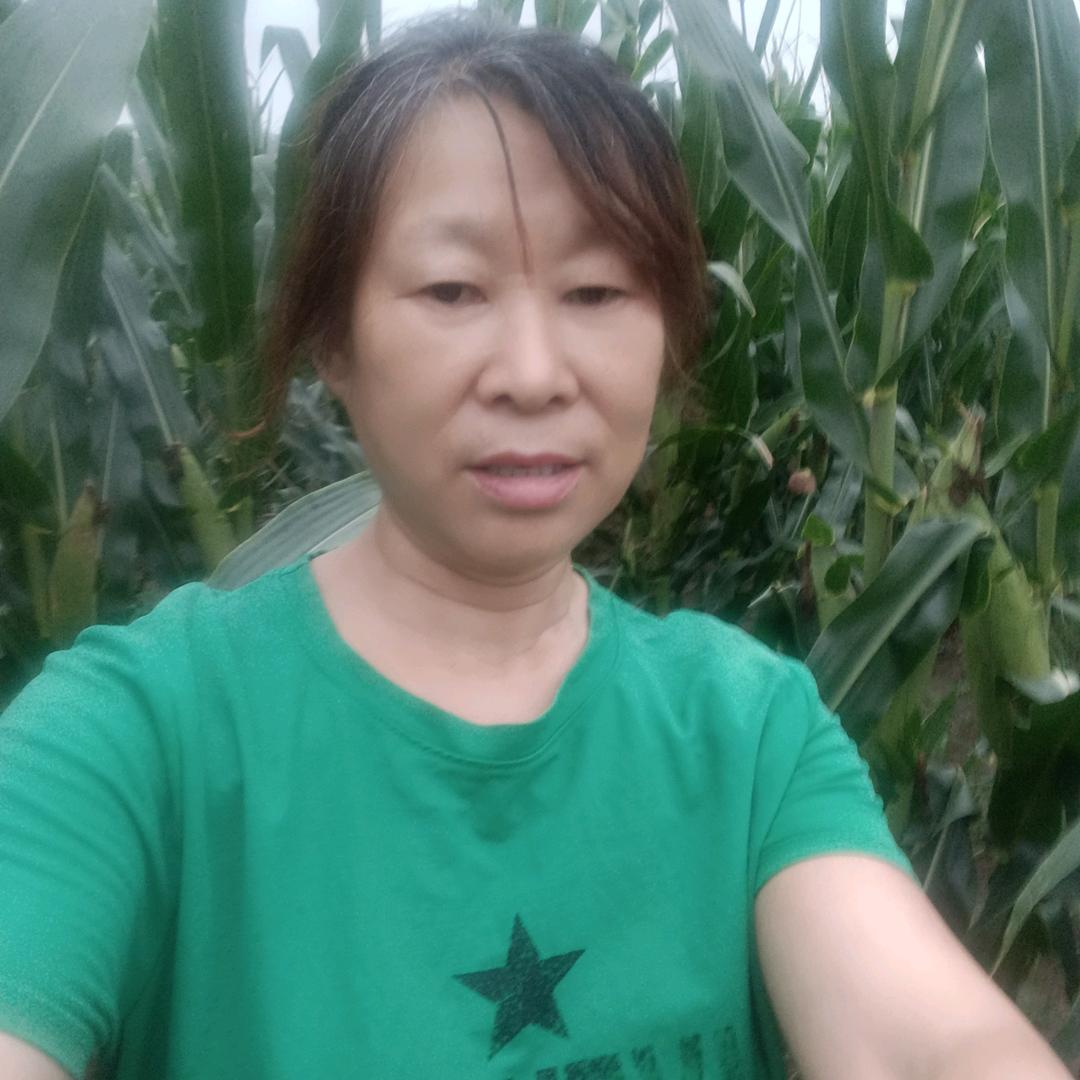 梅花姐中午11:30开播