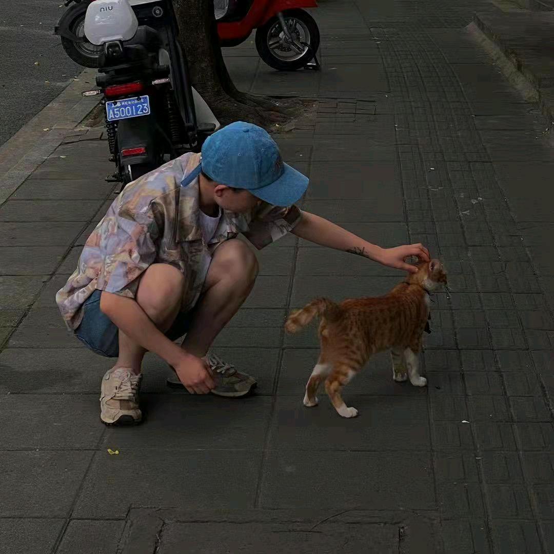 云胡