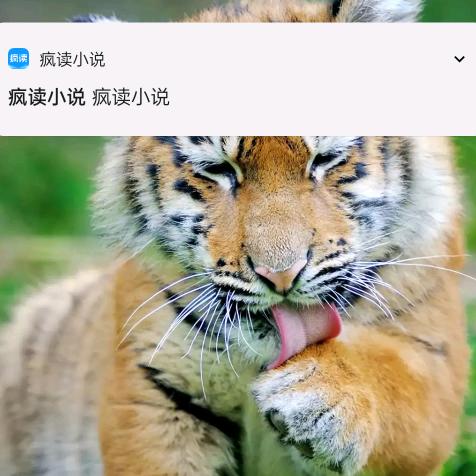 光时