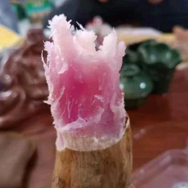 @河南许昌大地薯业
