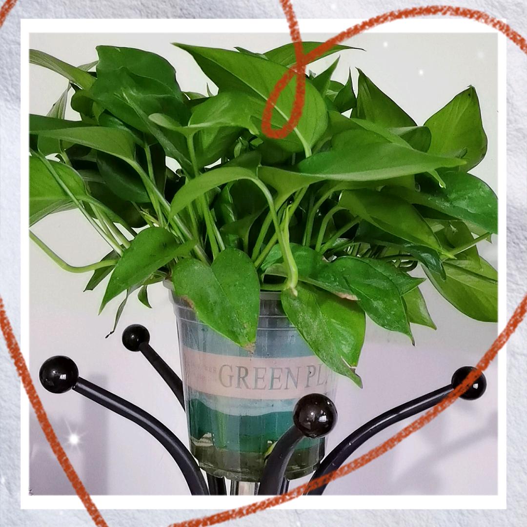 ༒࿈阿༙྇勇༙྇࿈༒