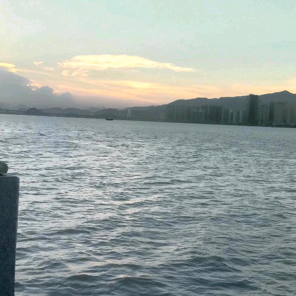 忠陈