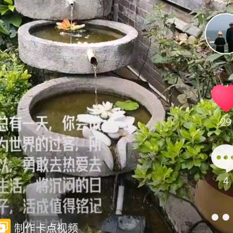 半盏流年