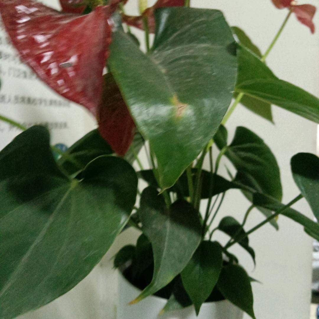 好好学着点