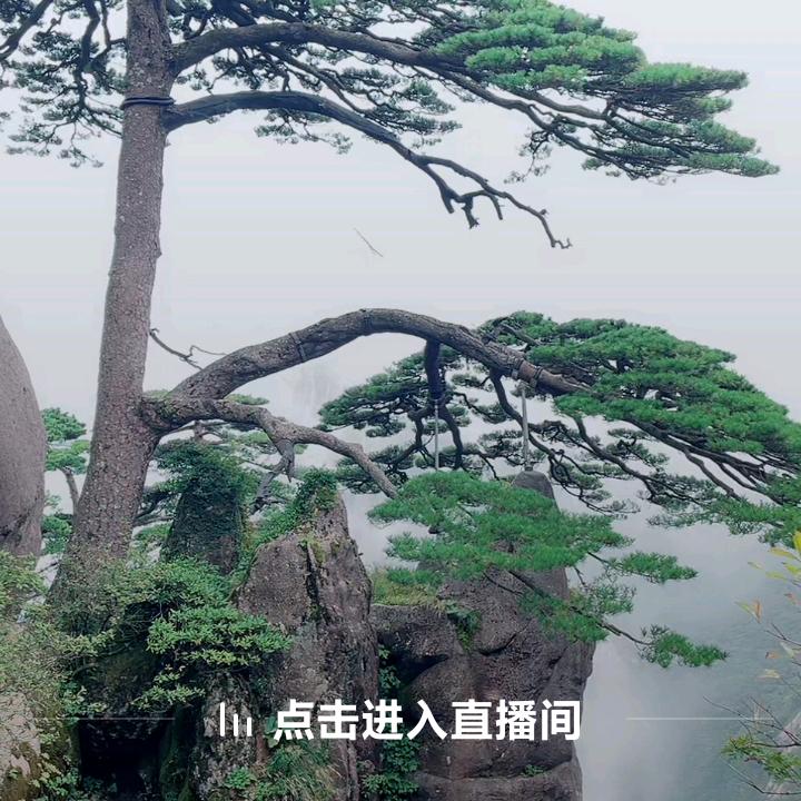 希望