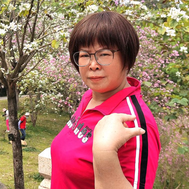 龙龙乐