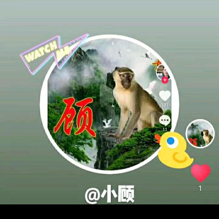 小顾