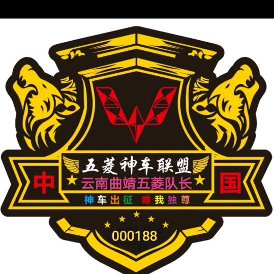 云南曲靖五菱队长[平平]