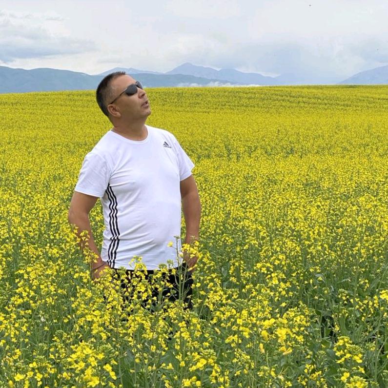 新旅行考斯特白金