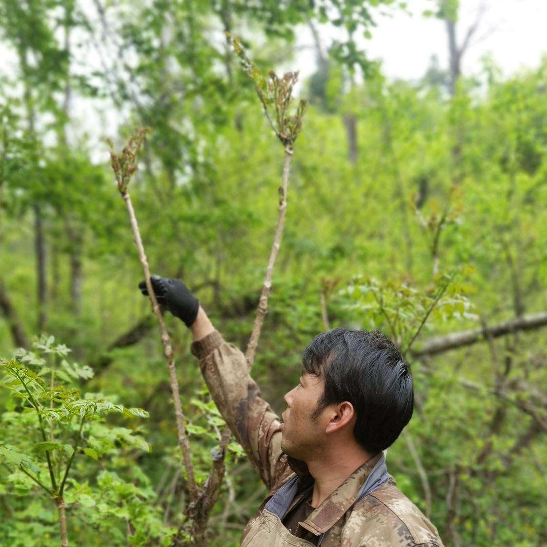 小宇