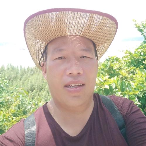 皇者归来