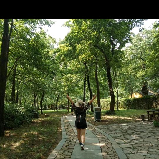 *^☀️☀️ω🌻^*☀️☀️🌻