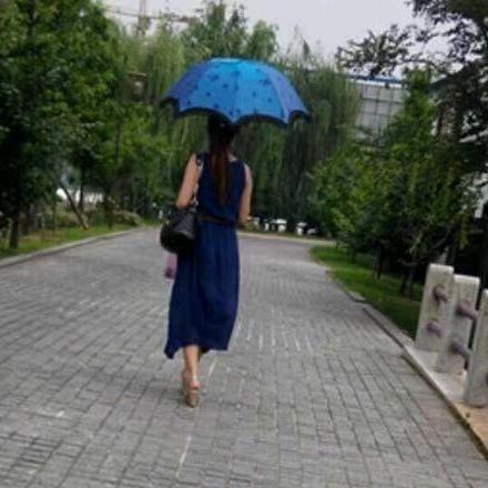 Mrs陆