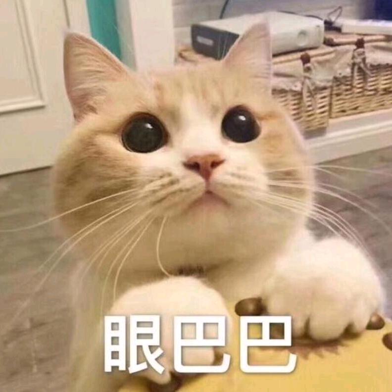 别骂了再骂孩子就傻了