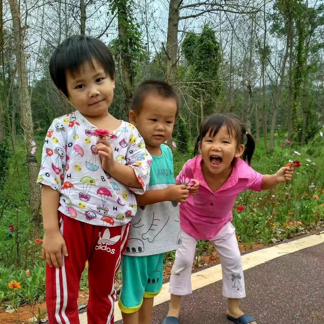 生无可恋的乔乔 666