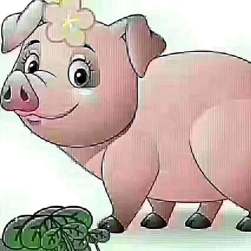 追求幸福