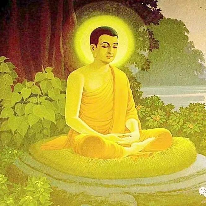 中国民间中医经络专业委员会经络学专家卓玛