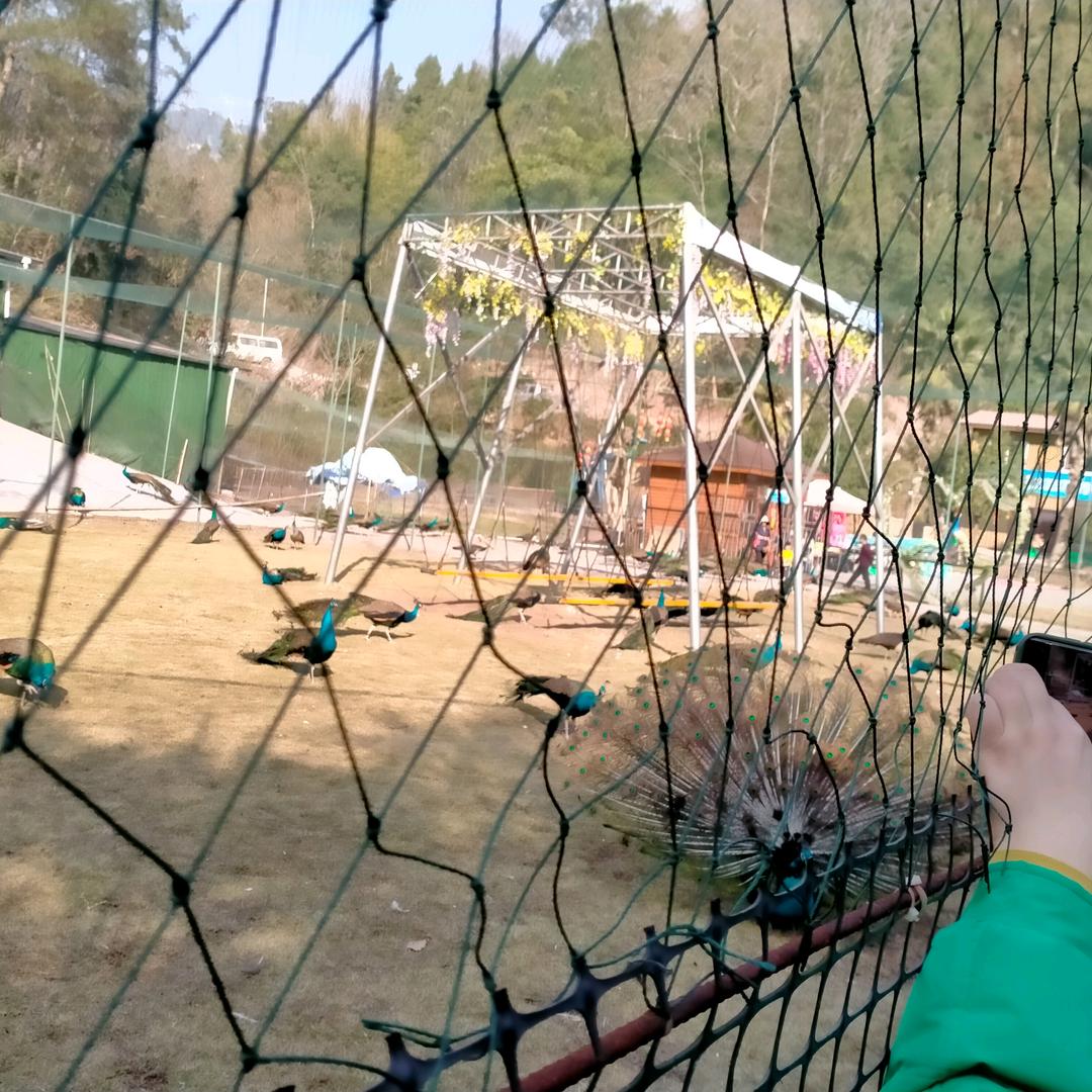 潘本富