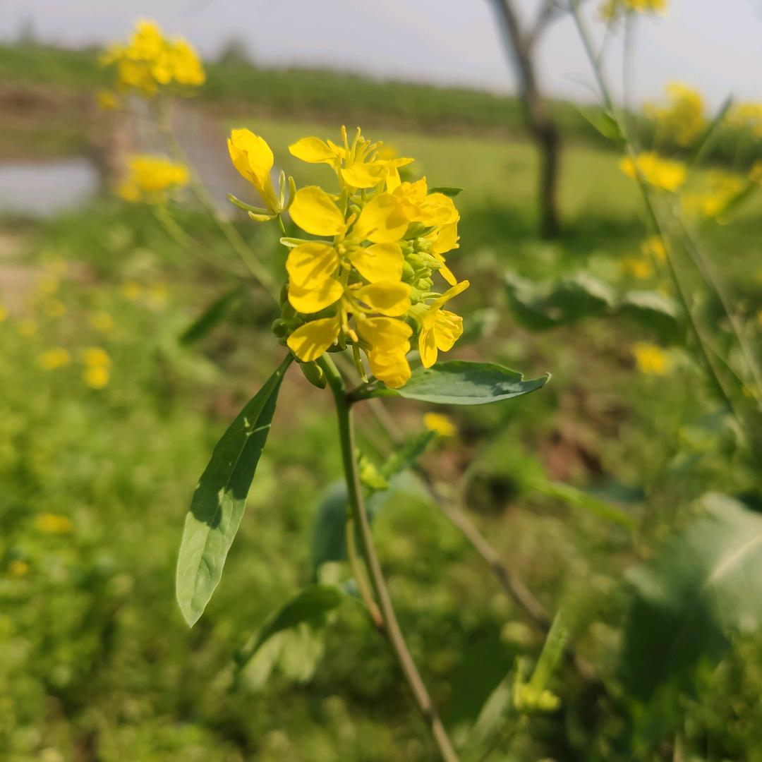 💞ঞ꯭香ꦿ᭄࿐⁵²º