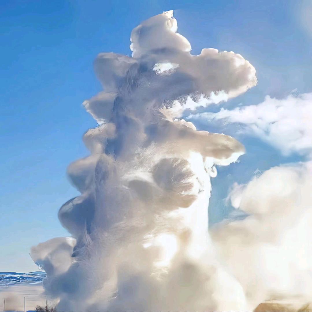 小政