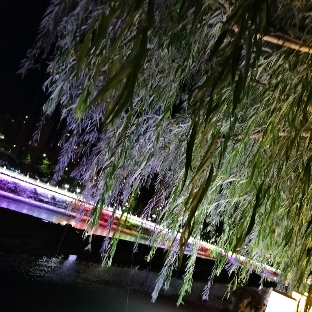 向钱看，一切都是浮云