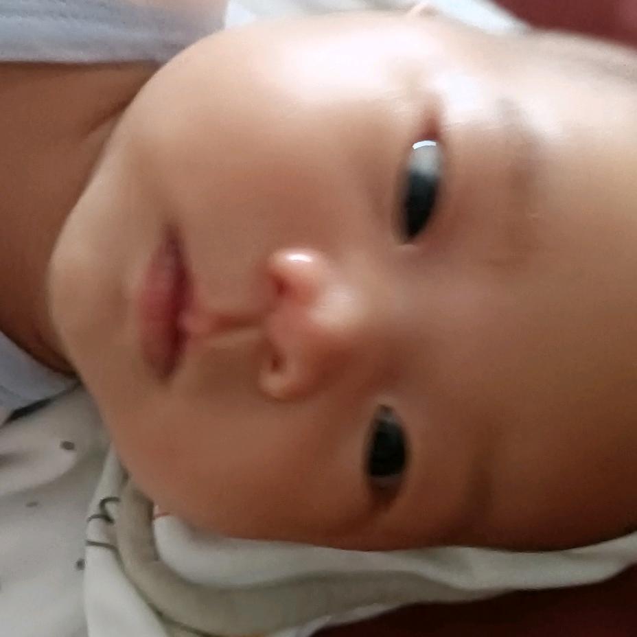 小燕子